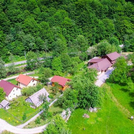 Pensiunea Lupul Dacic Costesti  Luaran gambar
