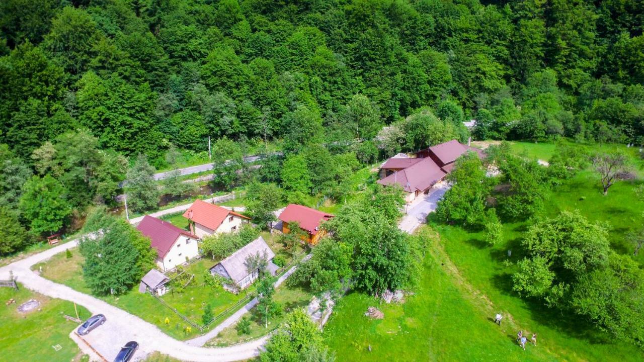 Pensiunea Lupul Dacic Costesti  Luaran gambar